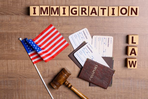 Immigration Lawyer