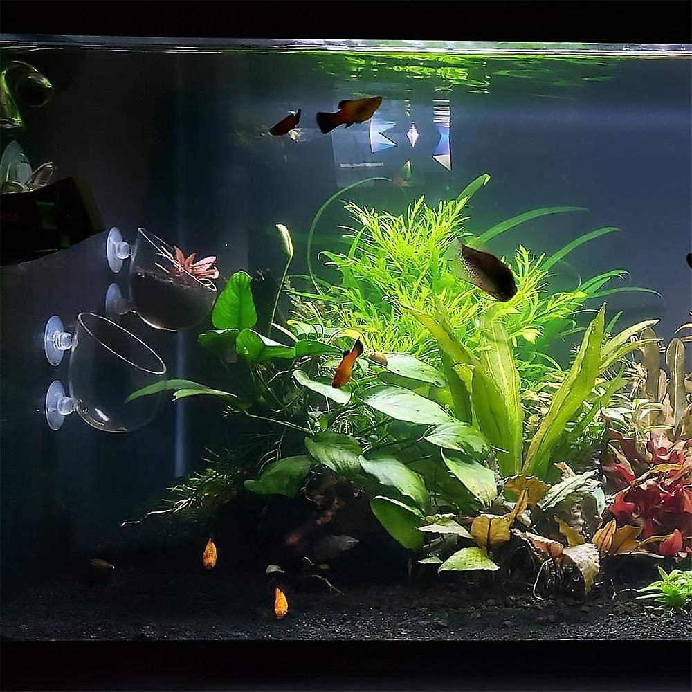 Fish Tank